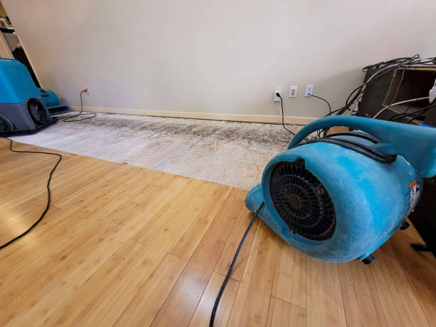 Professional Water Removal technician working in Mount Cory, OH